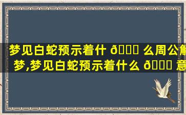 梦见白蛇预示着什 🐛 么周公解梦,梦见白蛇预示着什么 🐘 意思